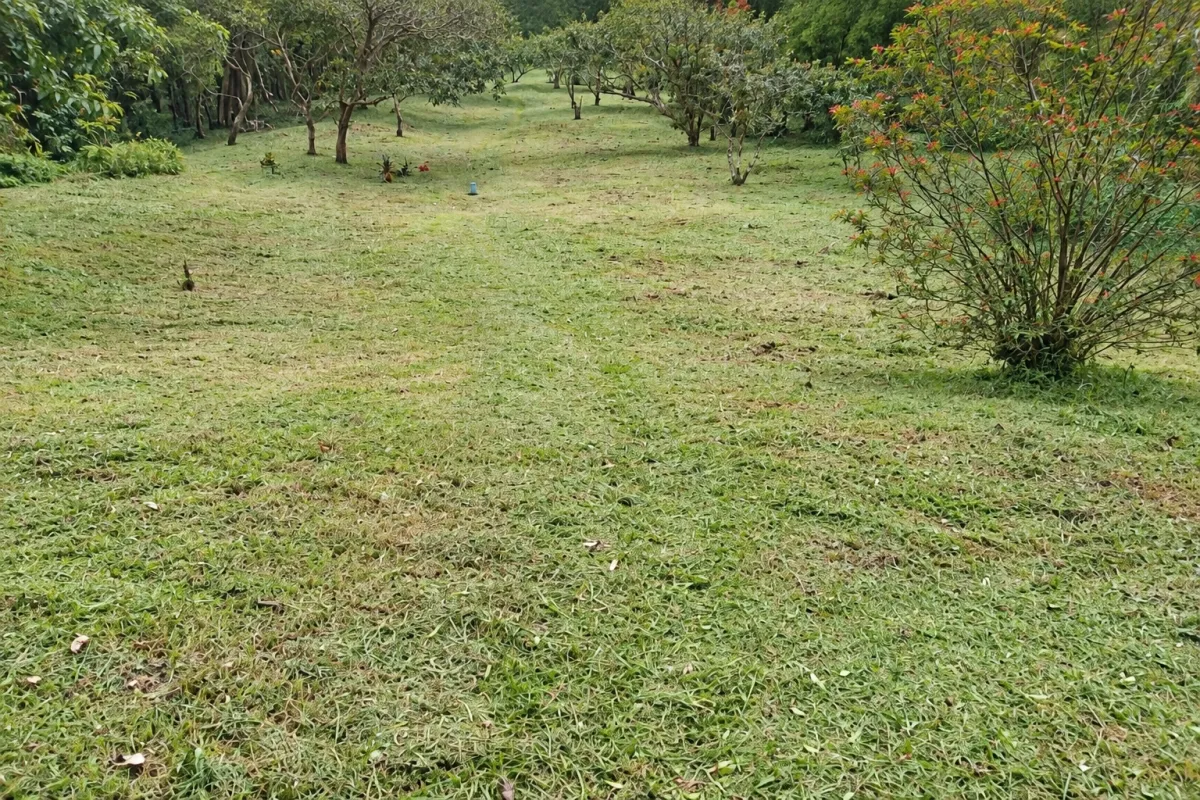 Ecotourism land for sale from El Valle de Antón