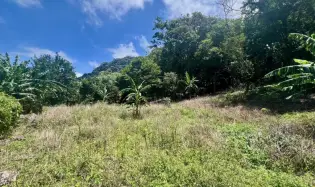 LARGE MOUNTAIN LAND IN LA LAGUNA