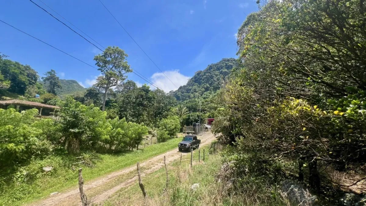 LARGE MOUNTAIN LAND IN LA LAGUNA