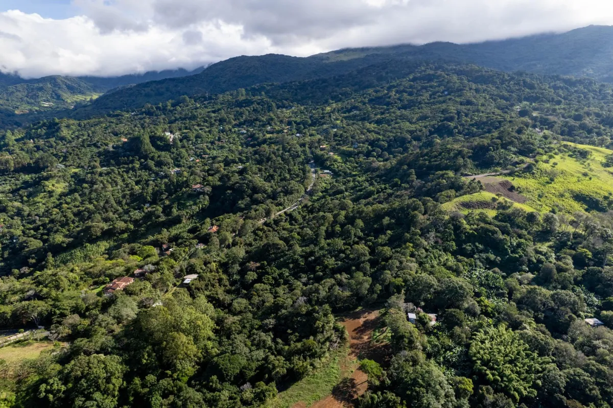 Boquete Coffee & Avocado Farm w/ Volcán Barú Views