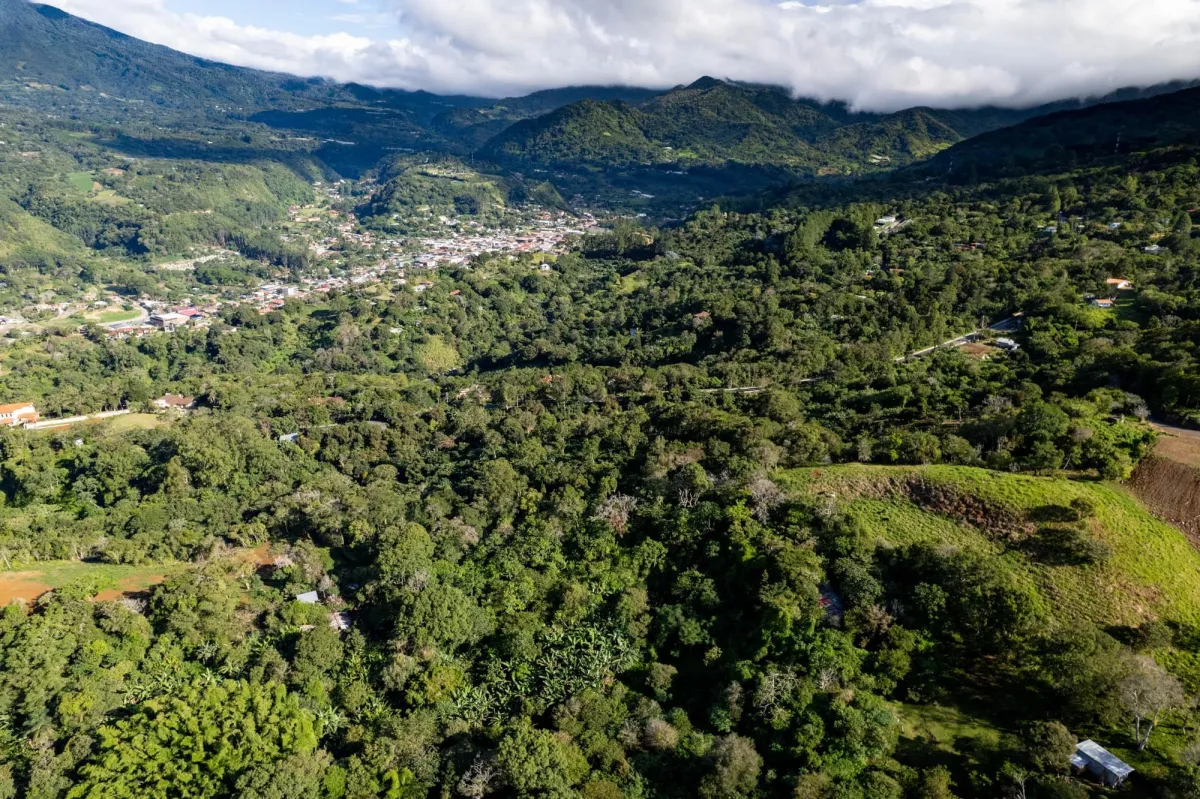 Boquete Coffee & Avocado Farm w/ Volcán Barú Views