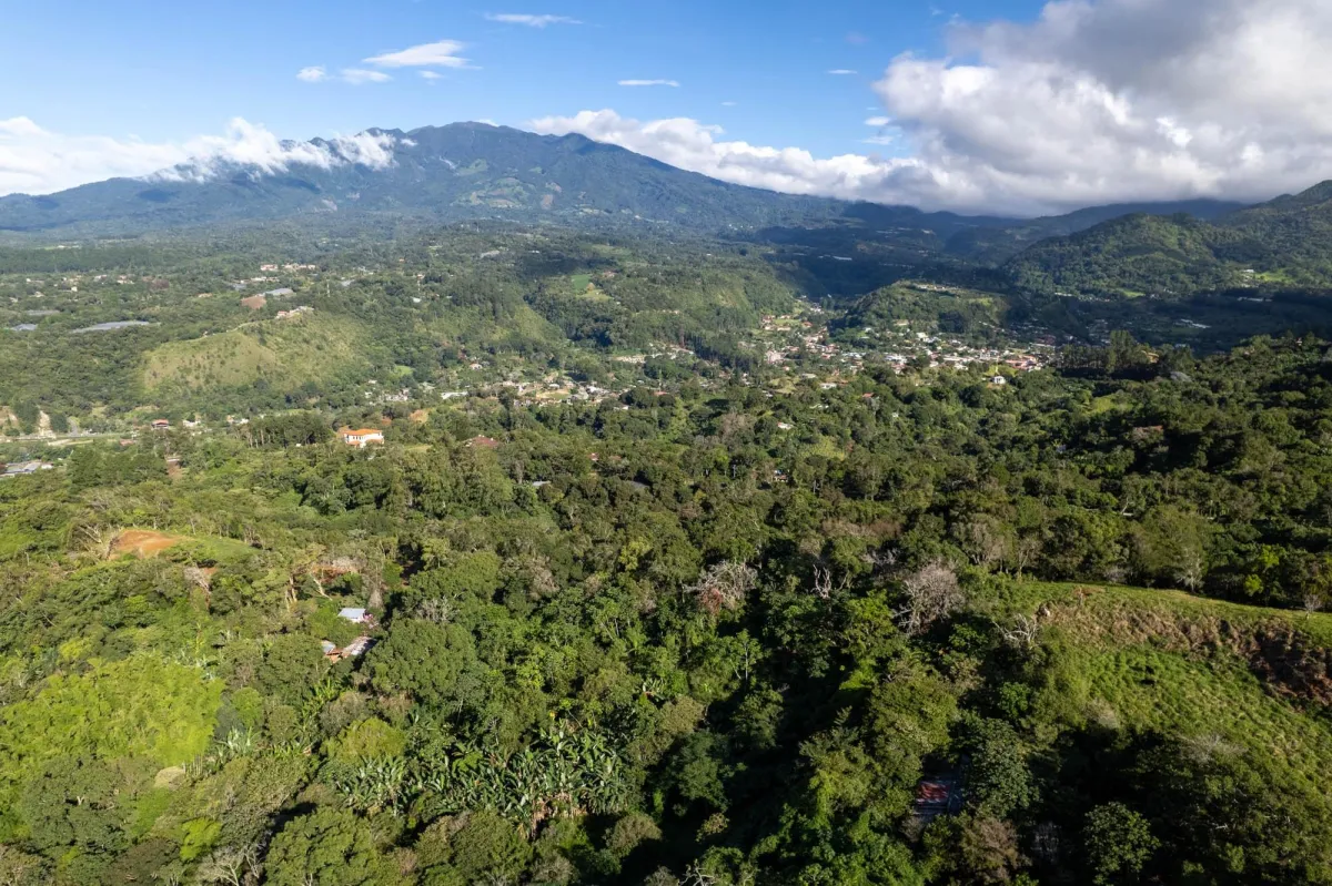 Boquete Coffee & Avocado Farm w/ Volcán Barú Views