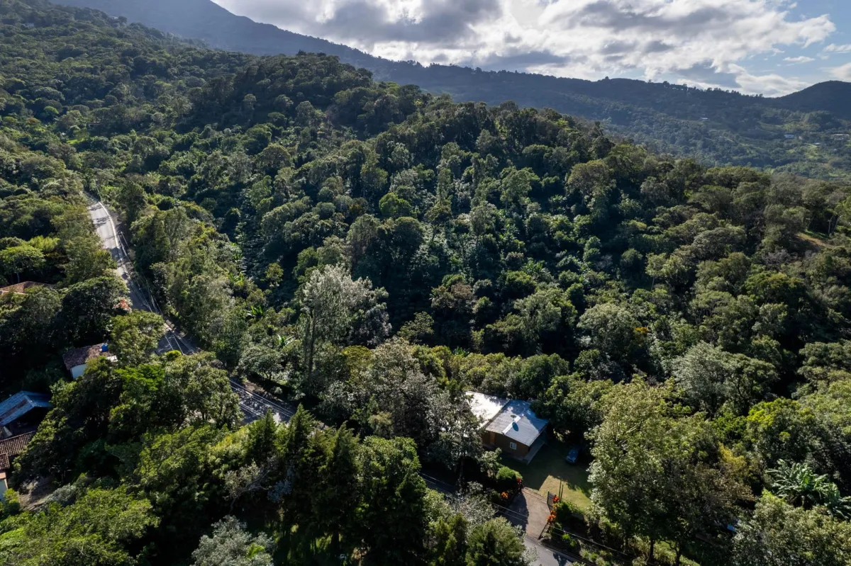 Boquete Coffee & Avocado Farm w/ Volcán Barú Views