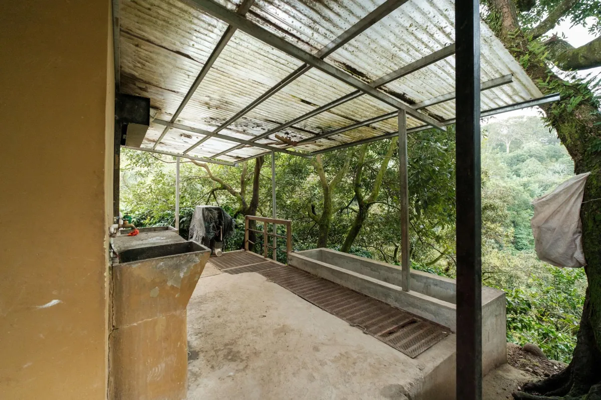 Boquete Coffee & Avocado Farm w/ Volcán Barú Views