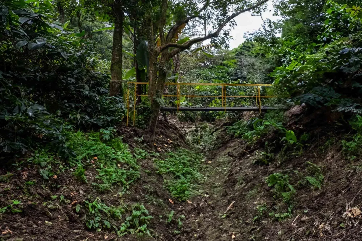 Boquete Coffee & Avocado Farm w/ Volcán Barú Views
