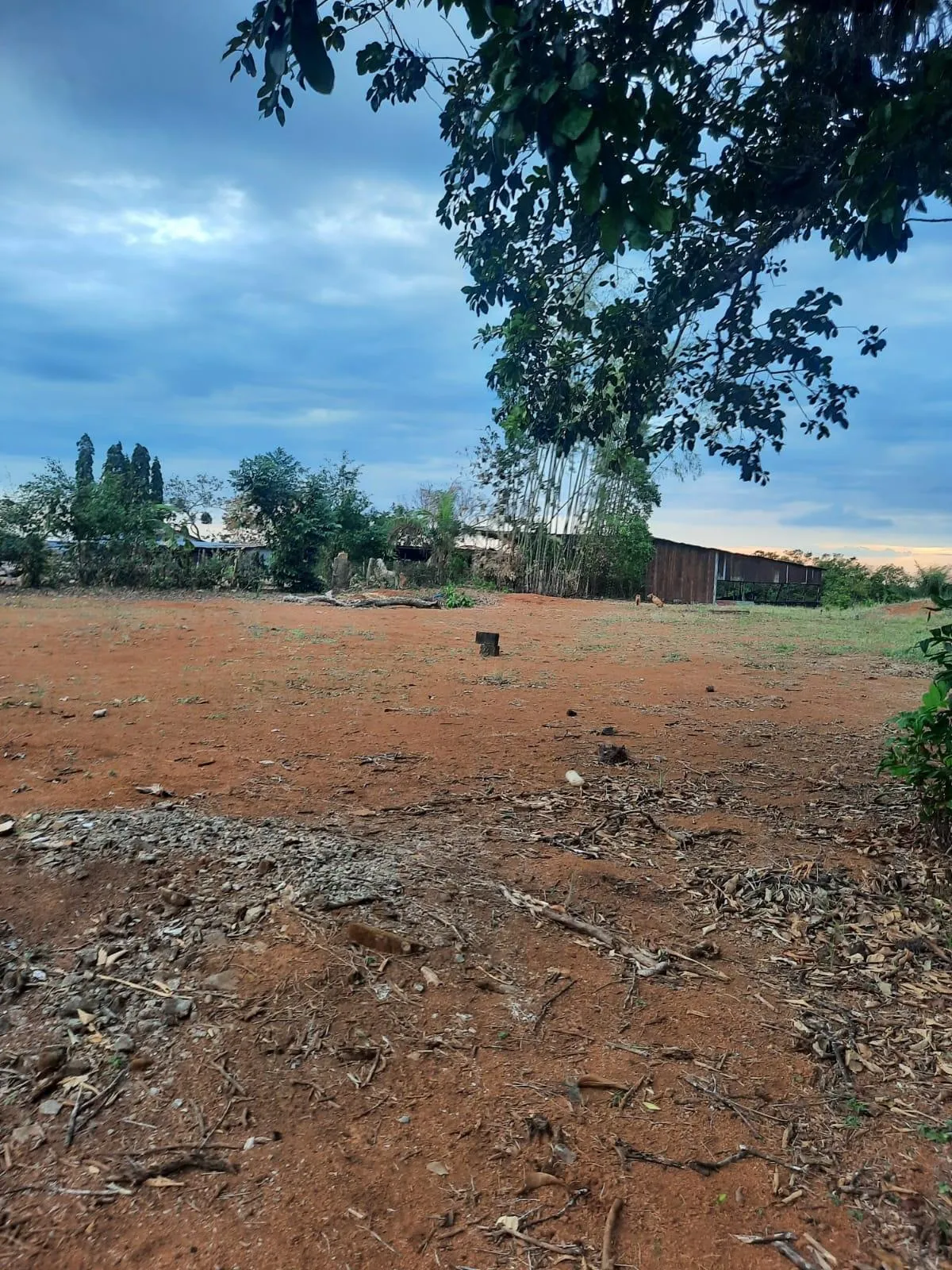 4-Bedroom Home on 1.85 Acres for Sale in Las Lomas