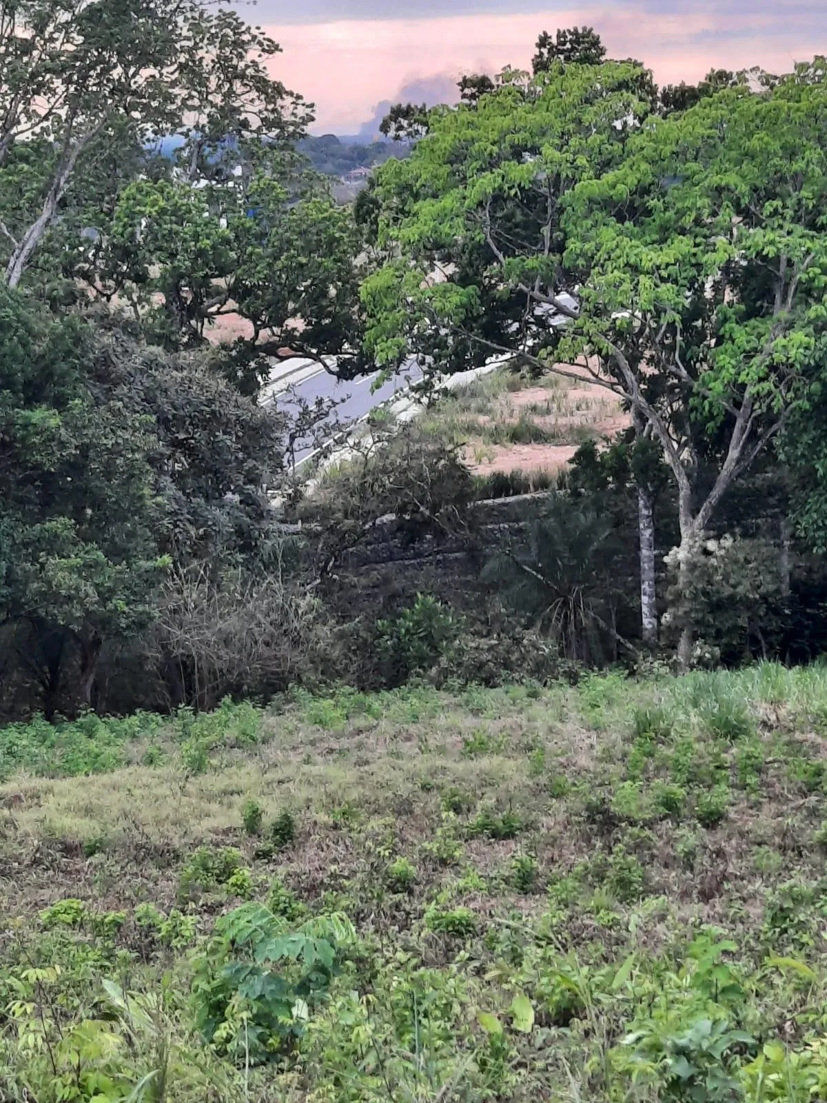 4-Bedroom Home on 1.85 Acres for Sale in Las Lomas