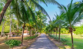 SPECTACULAR COUNTRY HOUSES IN CHAME CORONADO.