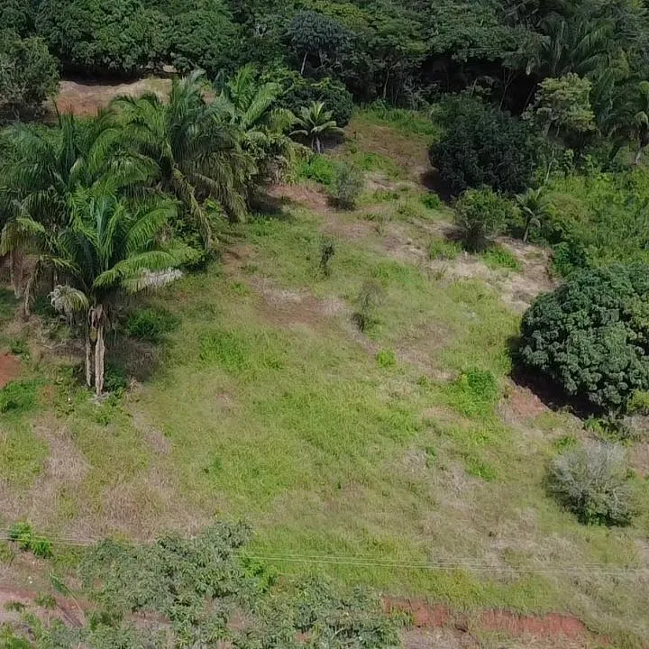 Excellent investment opportunity in Arraijan