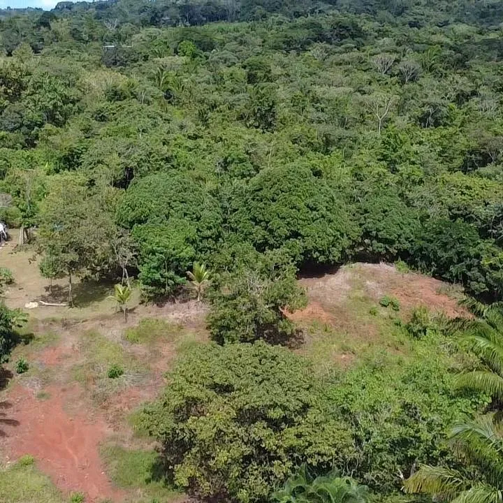 Excellent investment opportunity in Arraijan
