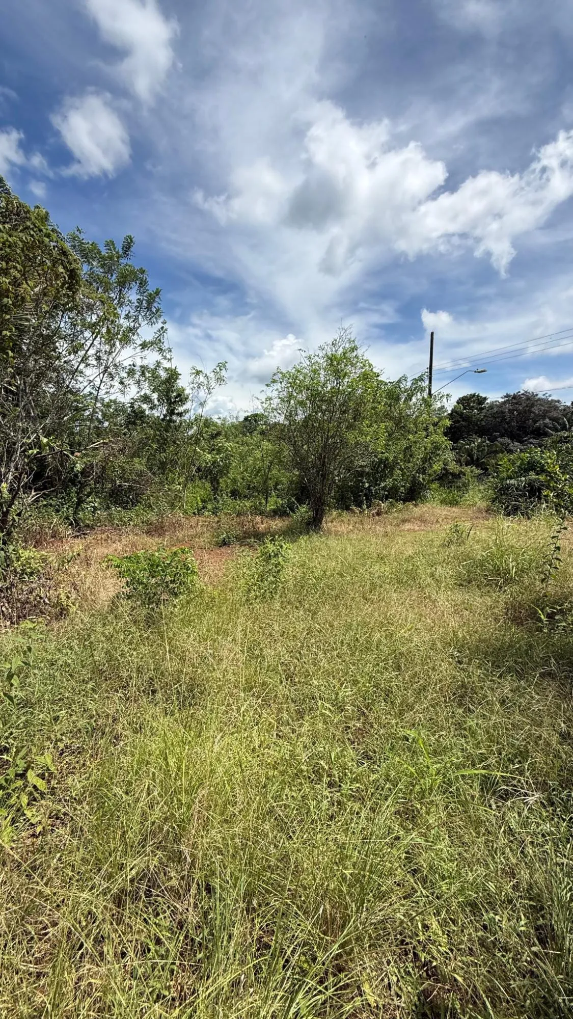 Excellent investment opportunity in Arraijan