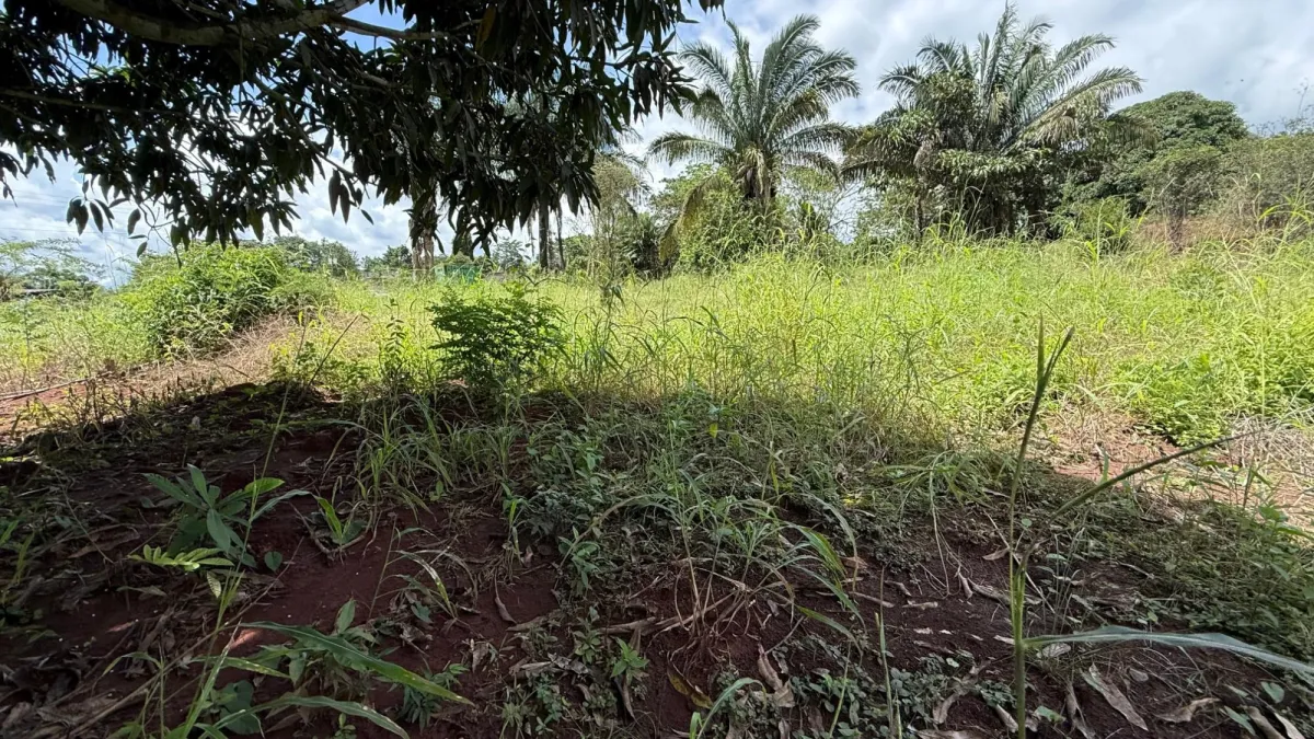 Excellent investment opportunity in Arraijan