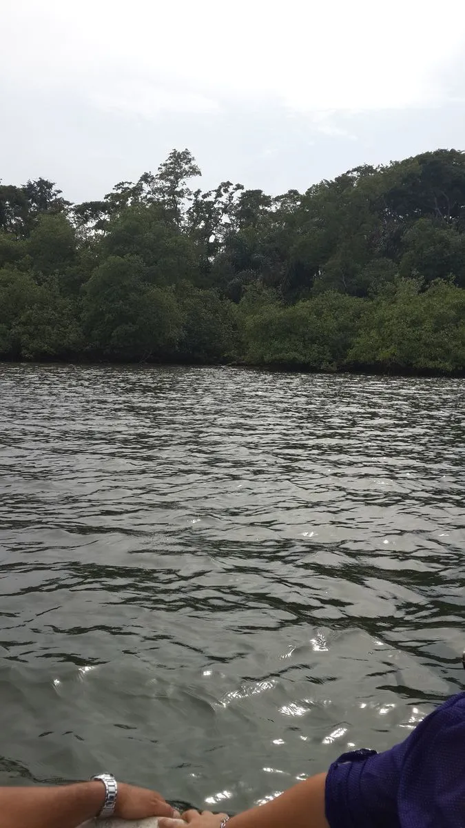 Строительный участок в Bocas del Toro на продажу