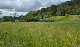 FLAT LOT IN NATURAL AREA