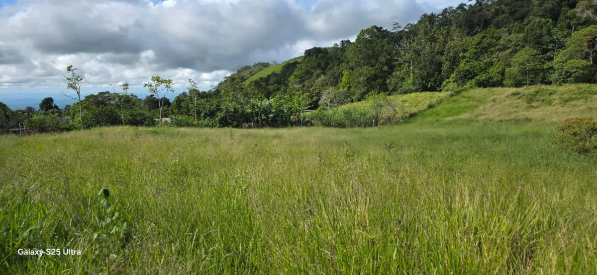 FLAT LOT IN NATURAL AREA