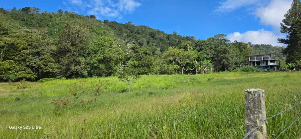 FLAT LOT IN NATURAL AREA