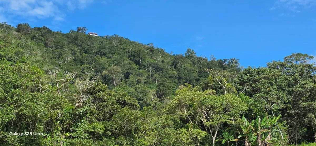 FLAT LOT IN NATURAL AREA