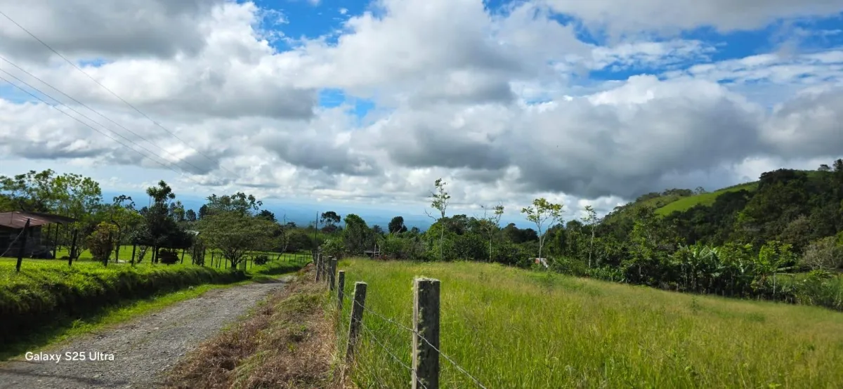 FLAT LOT IN NATURAL AREA