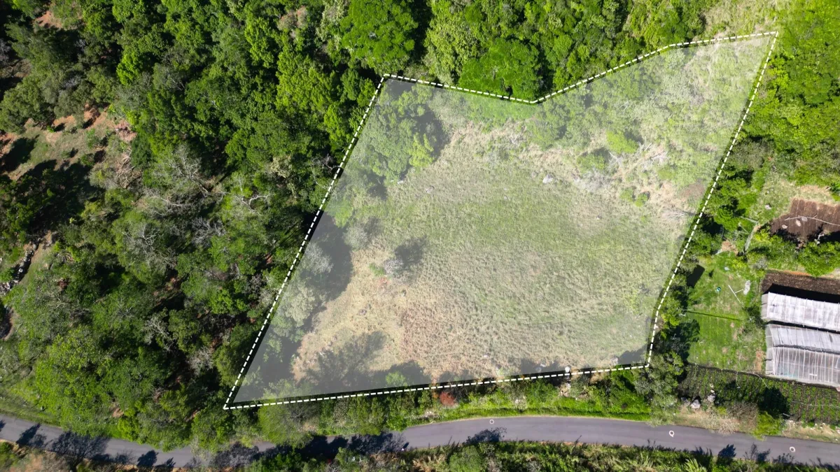 Mountain Sanctuary: Serene Lot with Hillside Charm