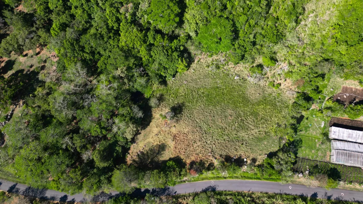 Mountain Sanctuary: Serene Lot with Hillside Charm