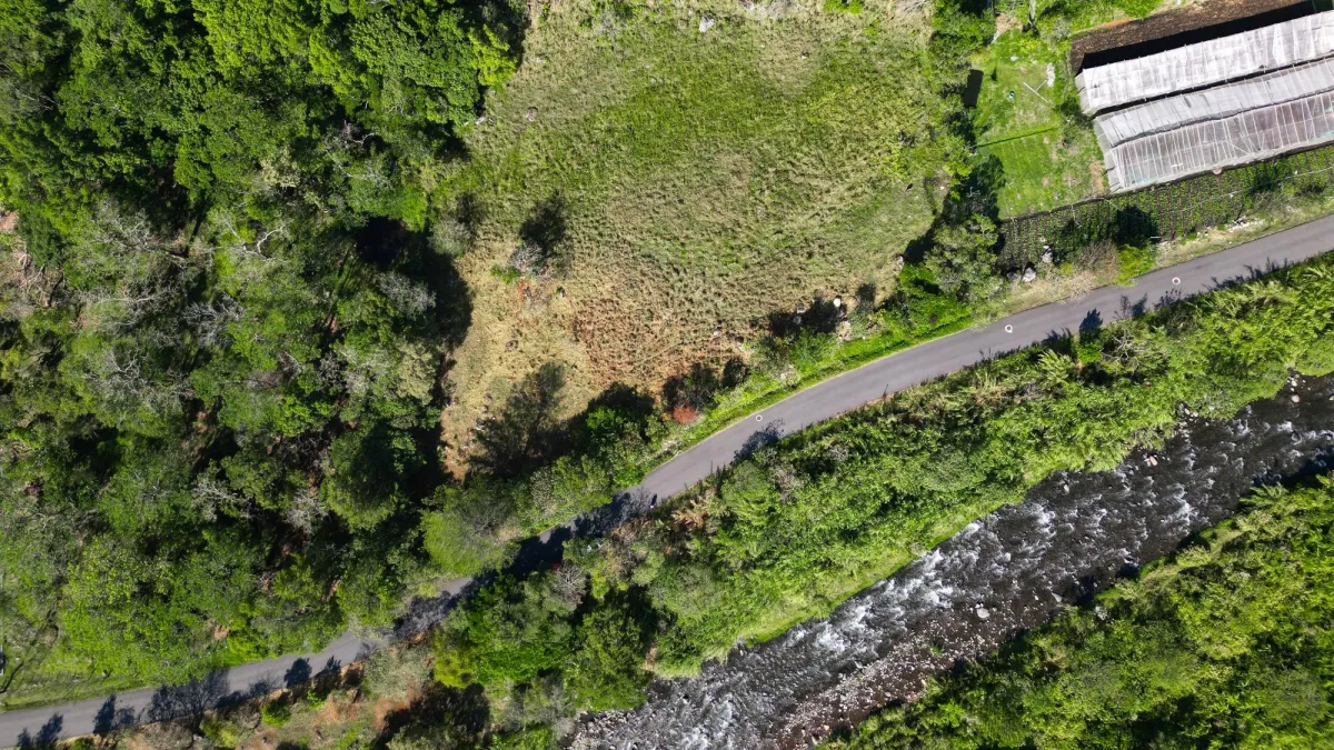 Mountain Sanctuary: Serene Lot with Hillside Charm