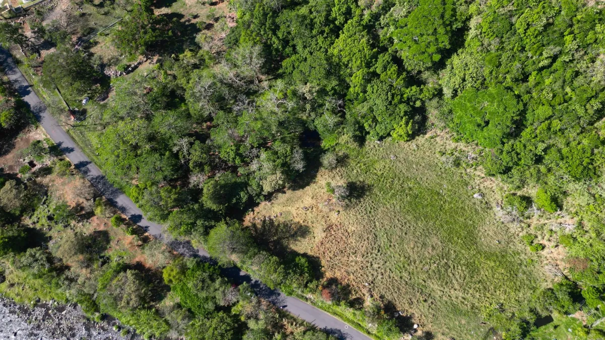 Mountain Sanctuary: Serene Lot with Hillside Charm