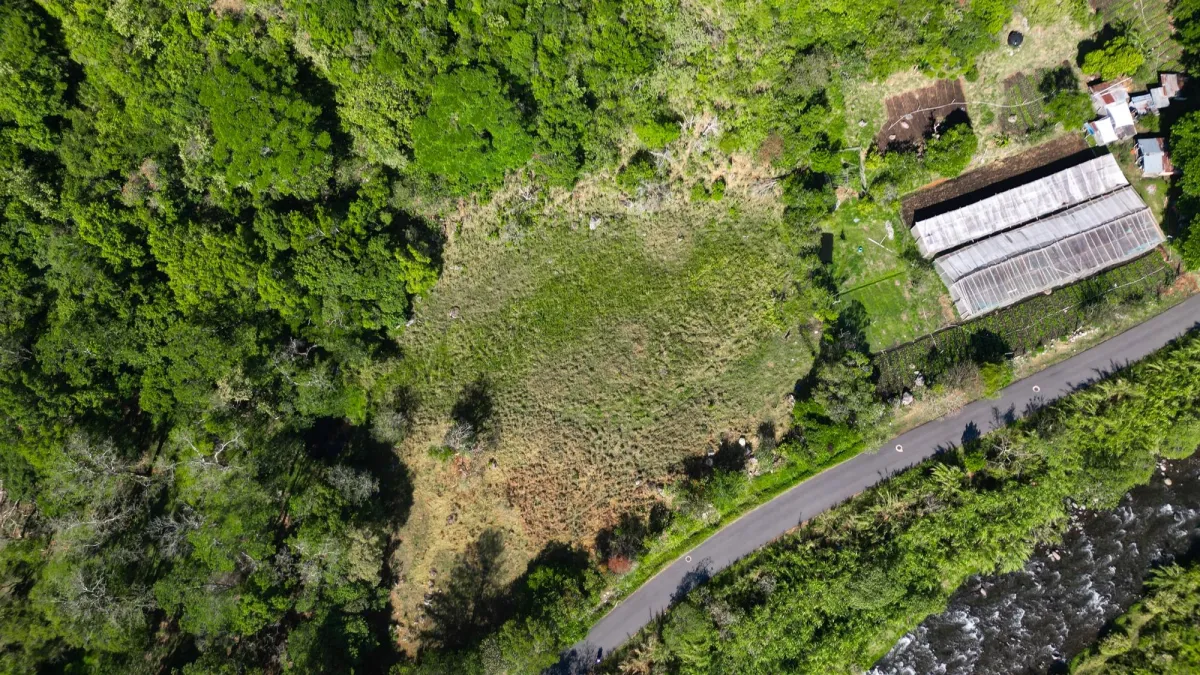 Mountain Sanctuary: Serene Lot with Hillside Charm