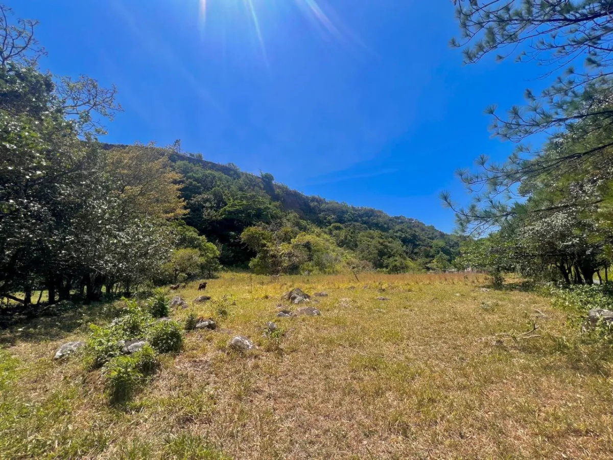 Mountain Sanctuary: Serene Lot with Hillside Charm