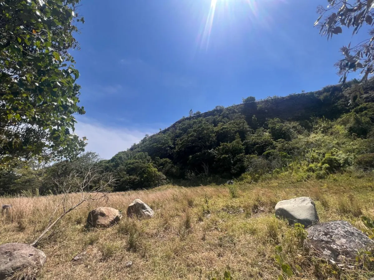 Mountain Sanctuary: Serene Lot with Hillside Charm