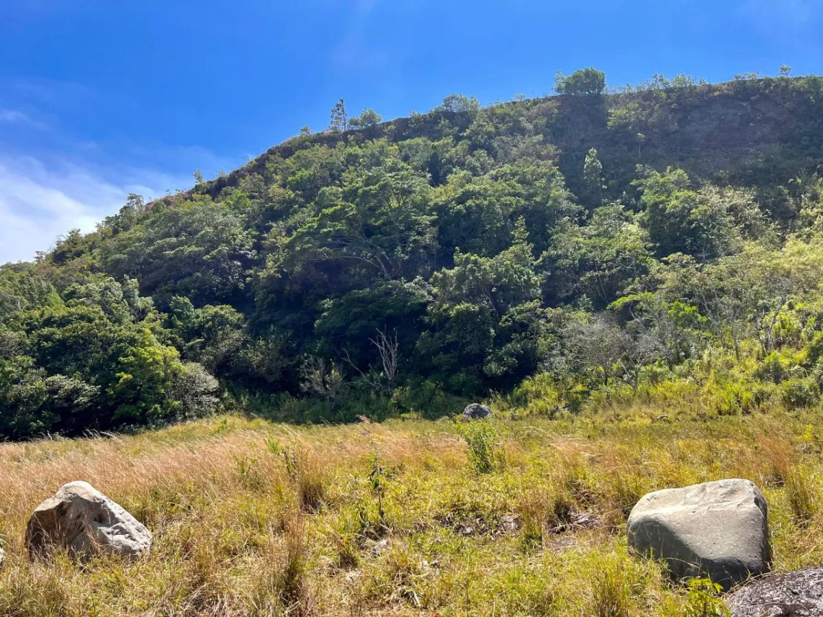 Mountain Sanctuary: Serene Lot with Hillside Charm