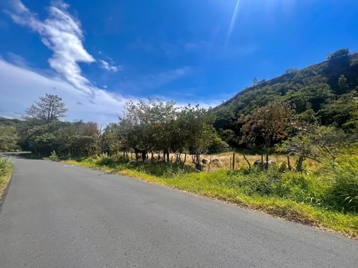 Mountain Sanctuary: Serene Lot with Hillside Charm