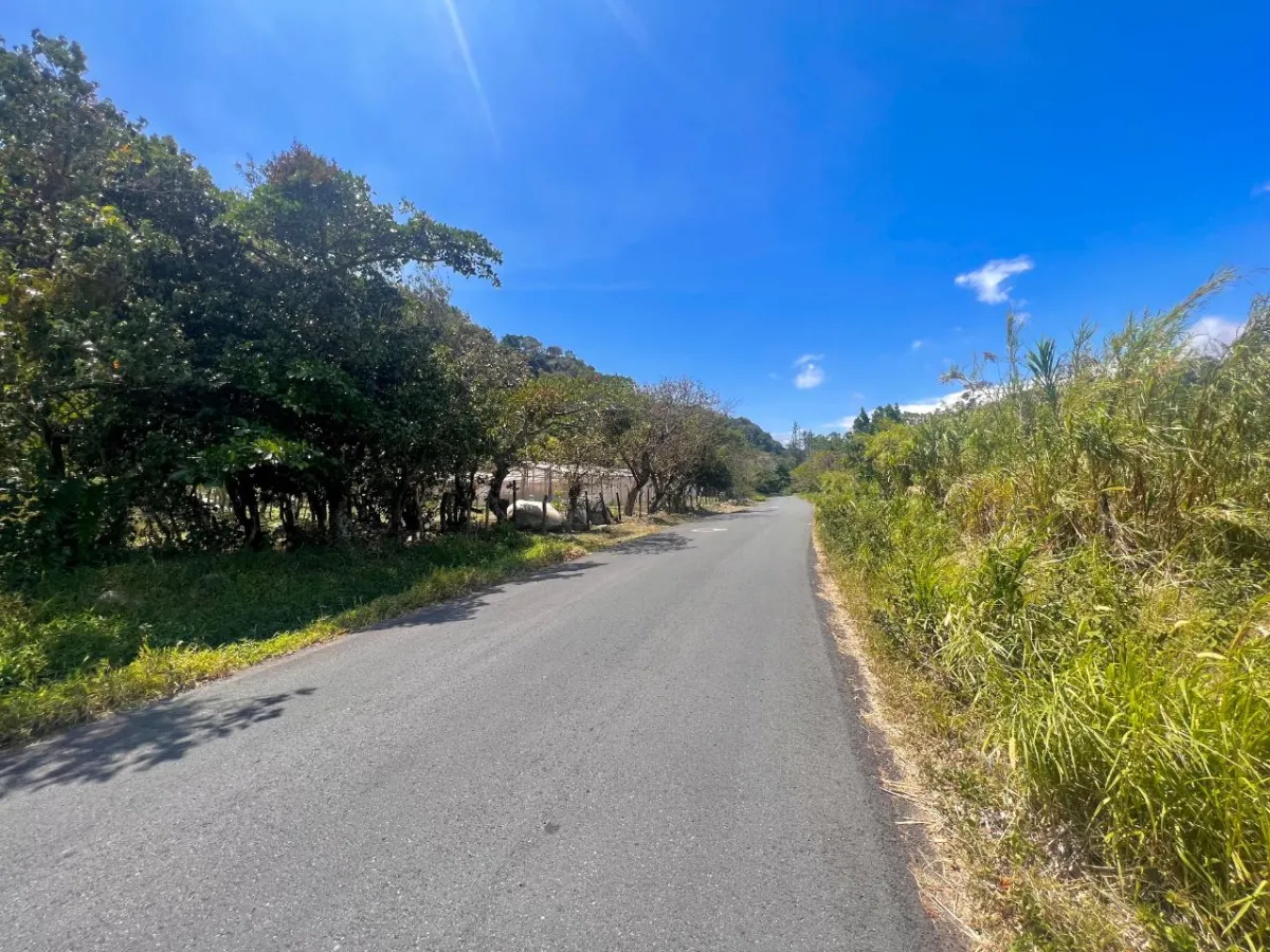 Mountain Sanctuary: Serene Lot with Hillside Charm