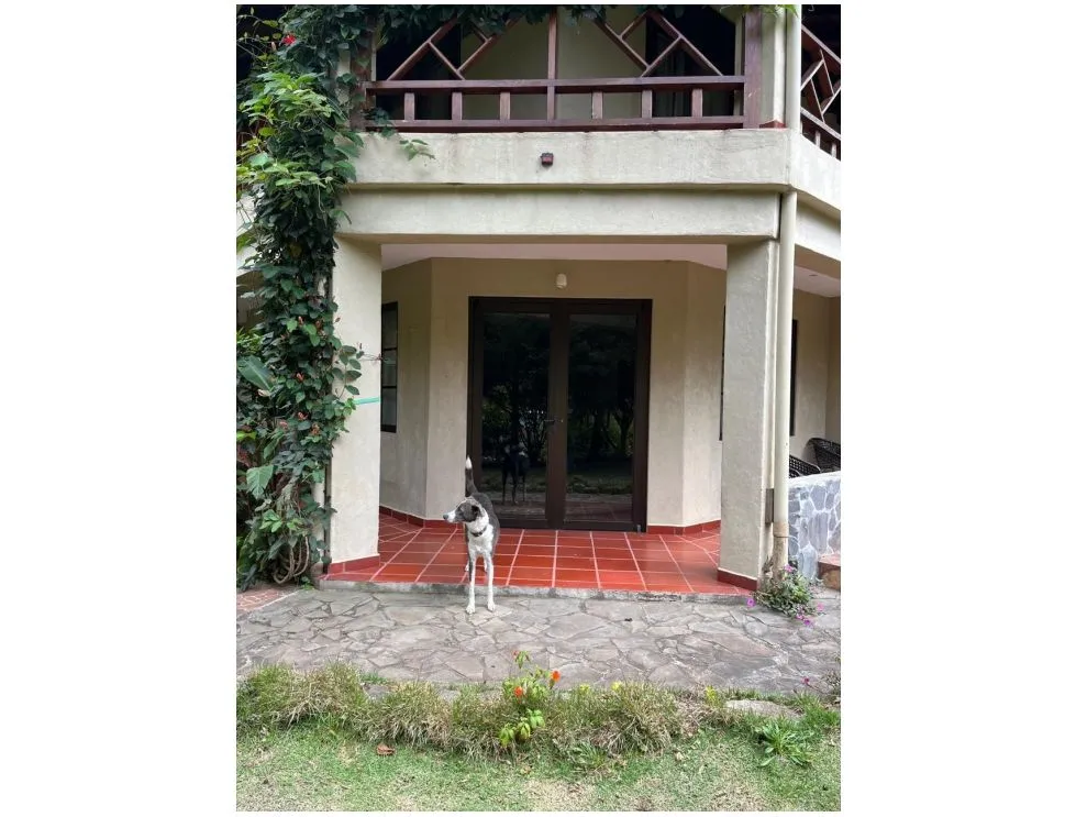 LUXURY HOME FOR SALE PALO ALTO, BOQUETE. LM