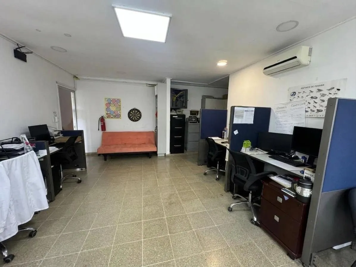 Propiedad Comercial en Alquiler, Hato Pintado
