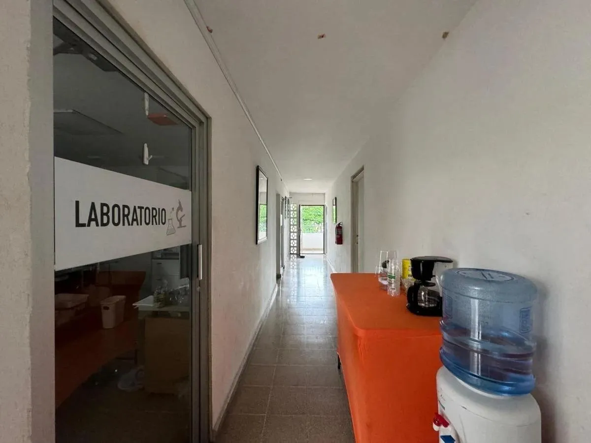 Propiedad Comercial en Alquiler, Hato Pintado