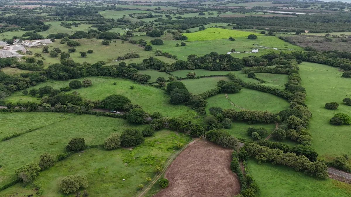 Venta Finca 9.8 Hectareas en Las Tablas