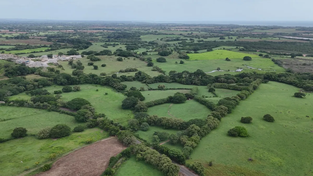 Venta Finca 9.8 Hectareas en Las Tablas