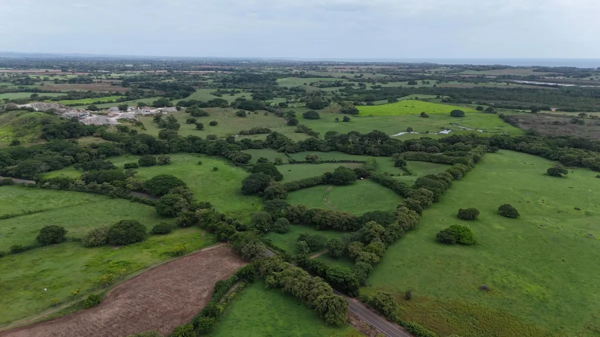 Venta Finca 9.8 Hectareas en Las Tablas