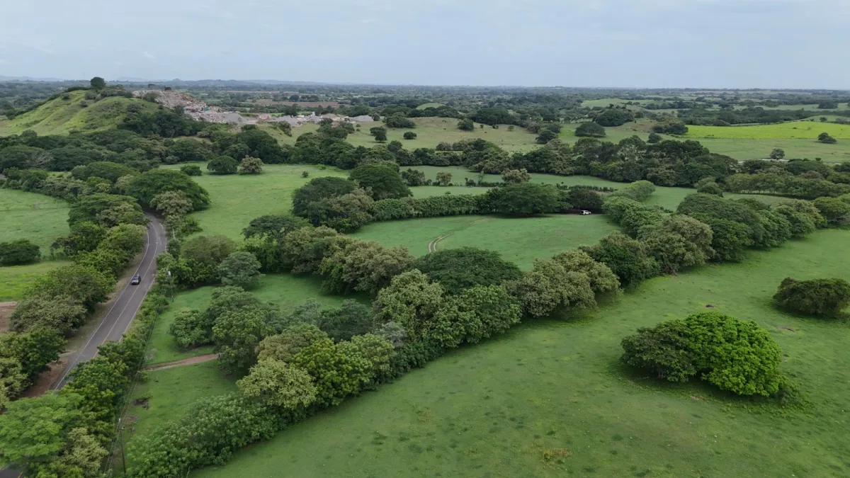 Venta Finca 9.8 Hectareas en Las Tablas