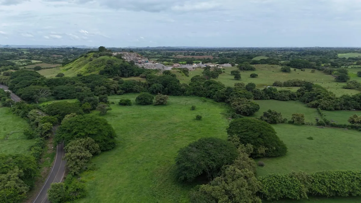 Venta Finca 9.8 Hectareas en Las Tablas