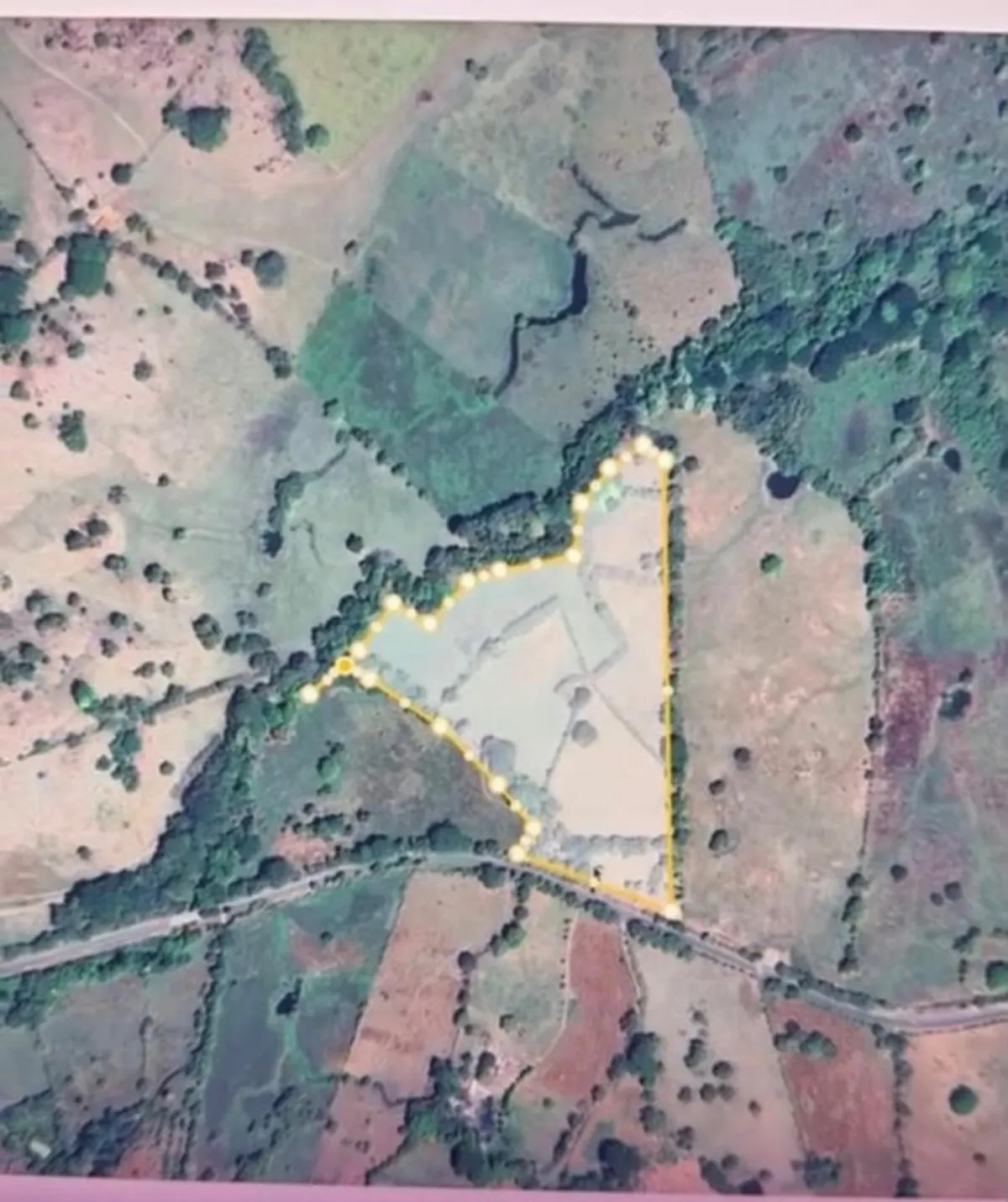 Venta Finca 9.8 Hectareas en Las Tablas