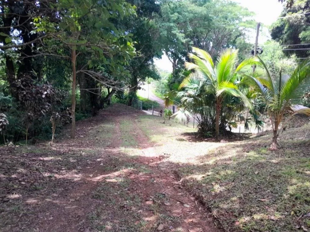 3+ HA en Capira