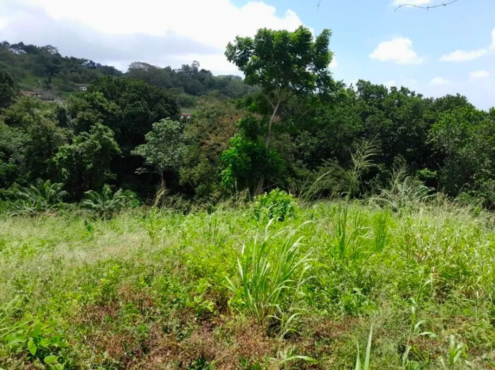 3+ HA en Capira