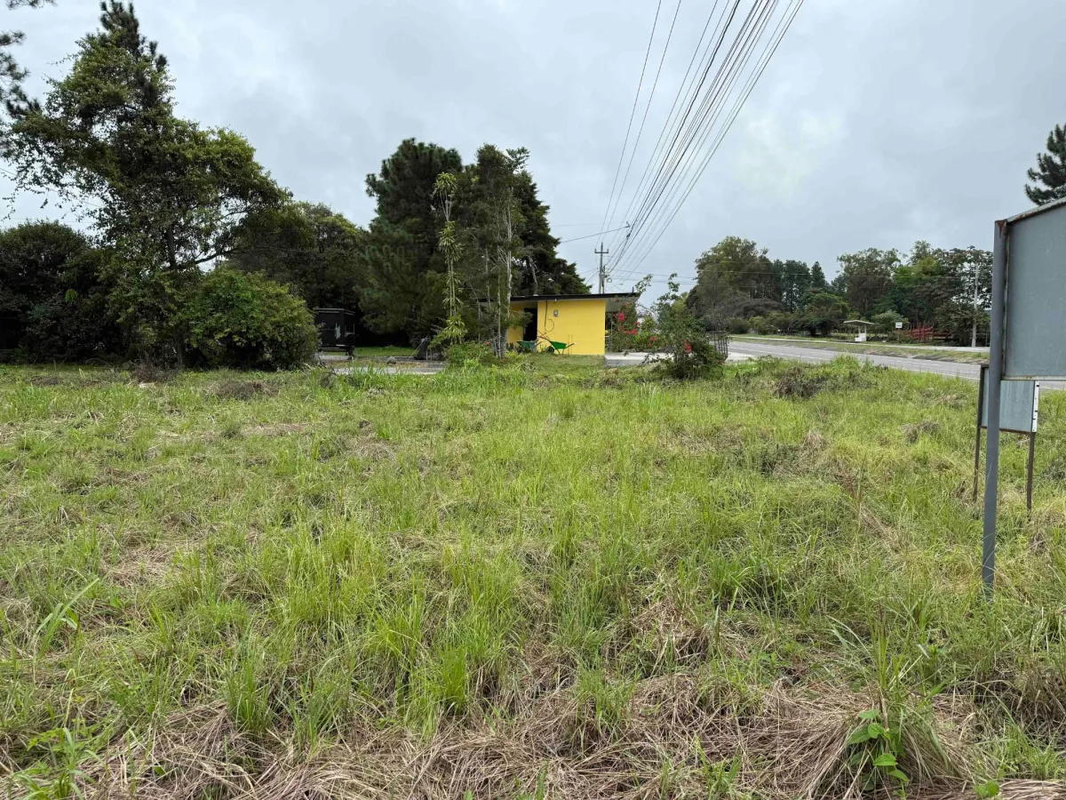 SE VENDE TERRENO COMERCIAL EN LA CARRETERA DAVID-BOQUETE