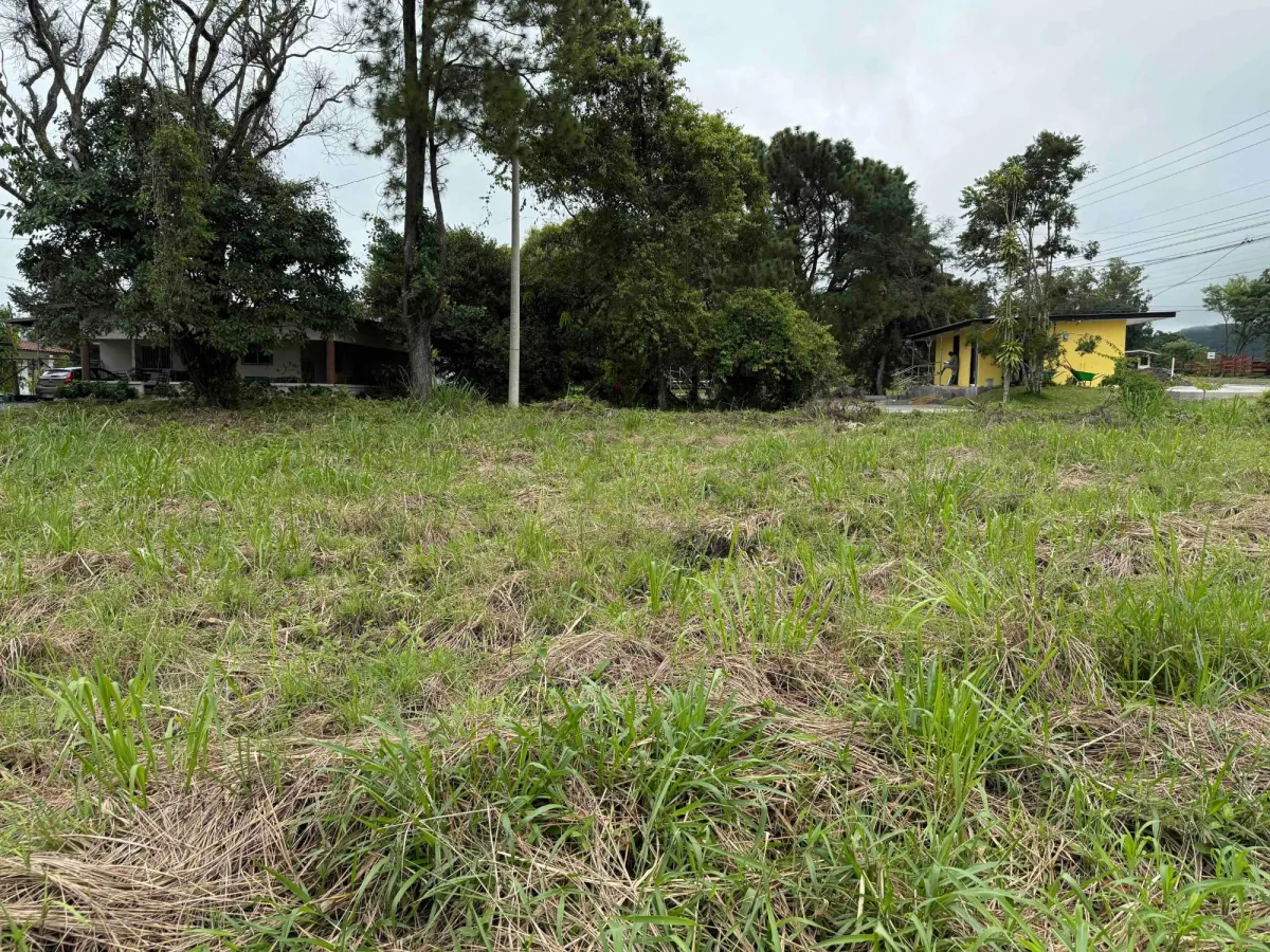 SE VENDE TERRENO COMERCIAL EN LA CARRETERA DAVID-BOQUETE