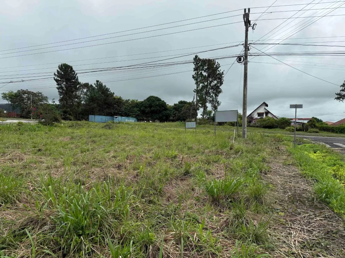 SE VENDE TERRENO COMERCIAL EN LA CARRETERA DAVID-BOQUETE