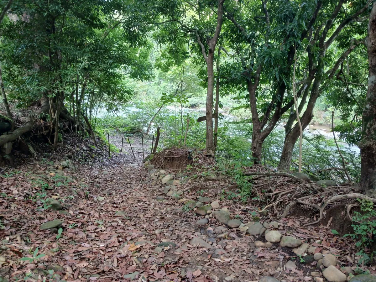 Vendo terreno 47 hectáreas San Miguel, Carriazo, Río Pacora Arriba