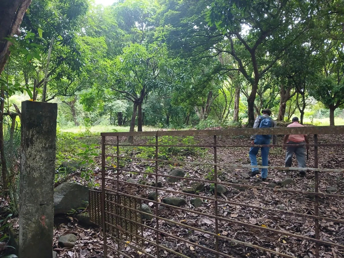 Vendo terreno 47 hectáreas San Miguel, Carriazo, Río Pacora Arriba