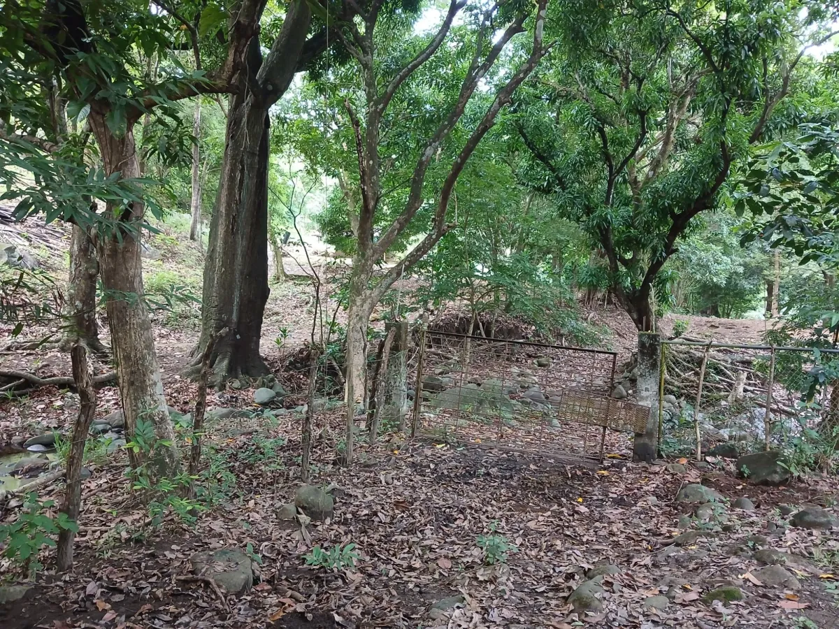 Vendo terreno 47 hectáreas San Miguel, Carriazo, Río Pacora Arriba