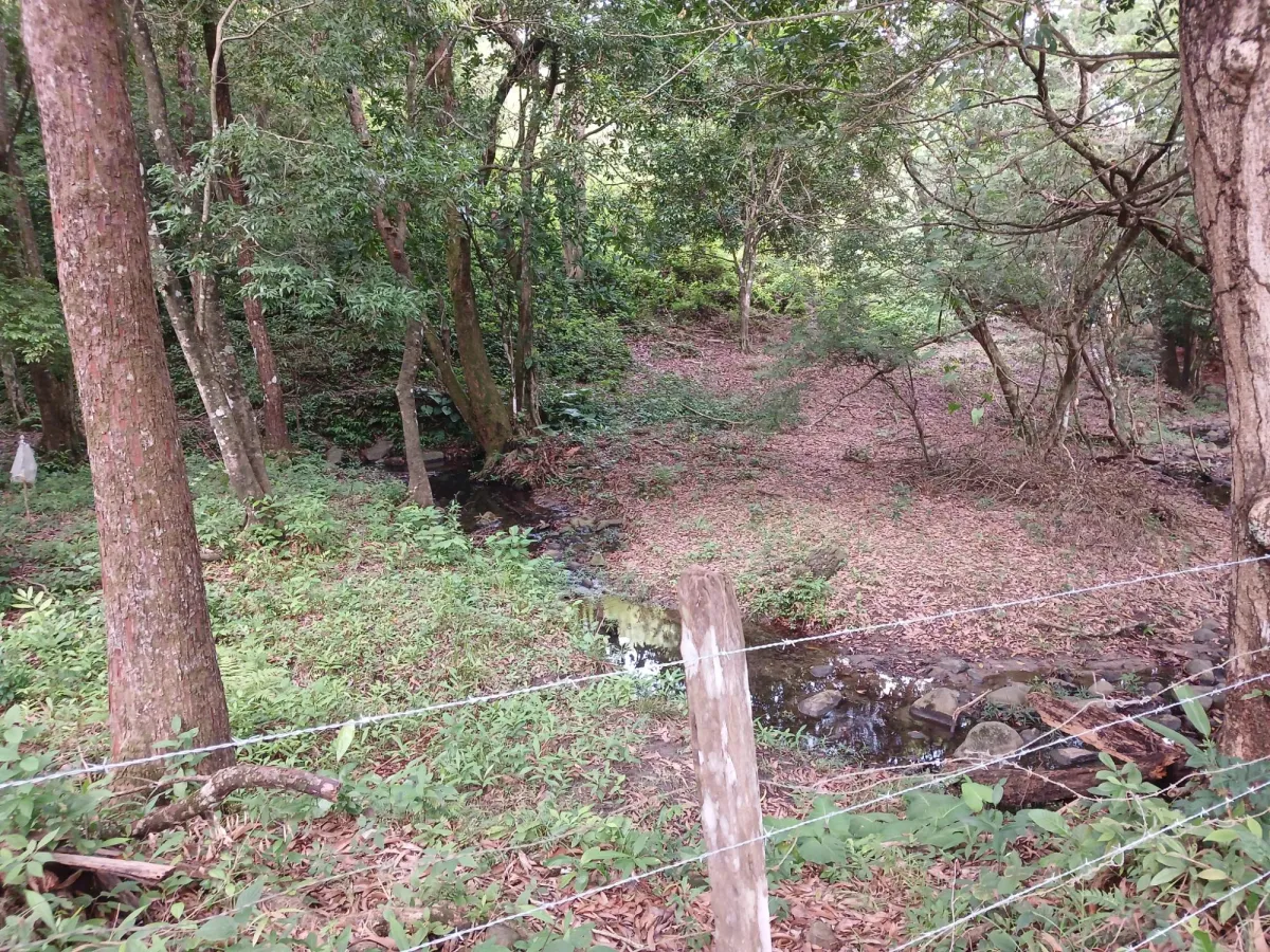 Vendo terreno 47 hectáreas San Miguel, Carriazo, Río Pacora Arriba